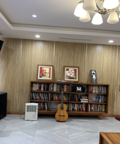 Loa karaoke HK PRO 15