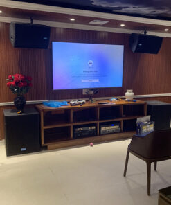 Loa karaoke Linx KS15