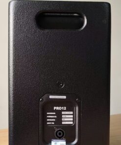 Alternative view of Loa REGGERE PRO 12 (đôi)